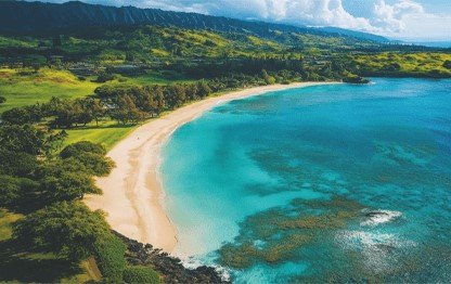 project_overview_img